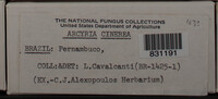 Image Associated With the Occurence
